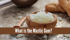 Does Mastic Gum Work for Jawline, What is the Mastic Gum