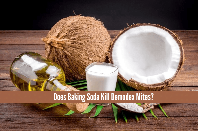 Does Baking Soda Kill Demodex Mites