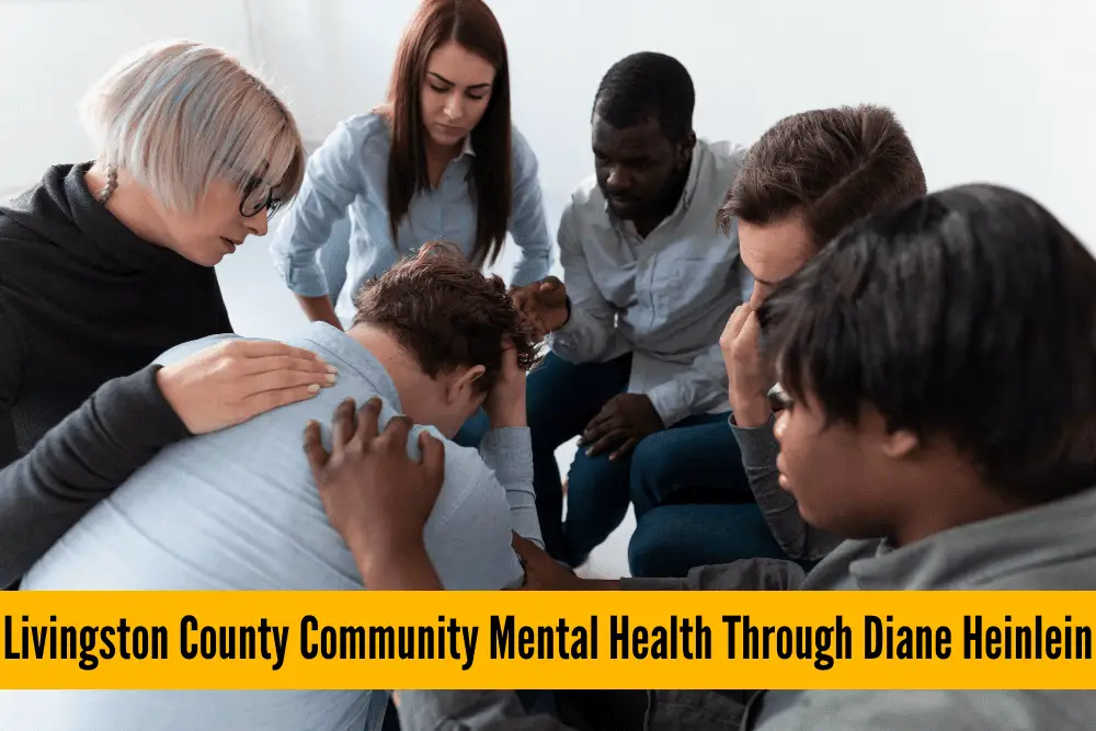 livingston county community mental health through diane heinlein