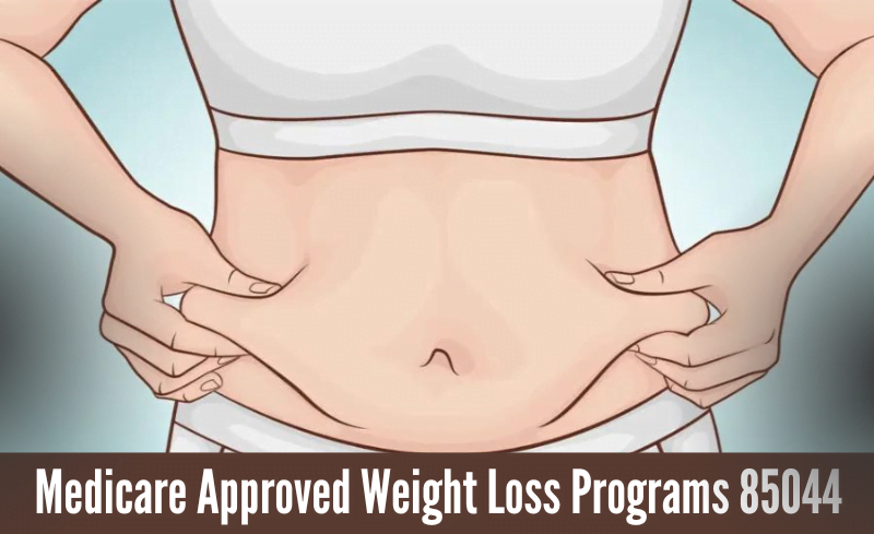 medicare approved weight loss programs 85044